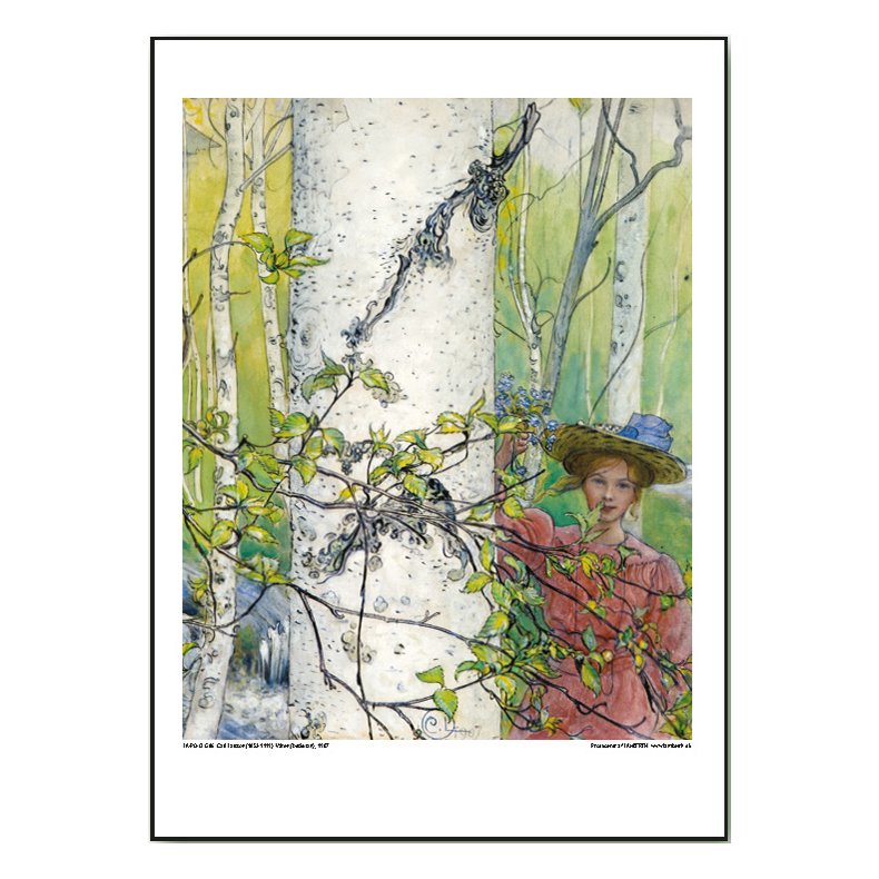 Carl Larsson plakat 30x40cm