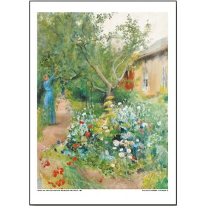 Carl Larsson plakat 30x40cm