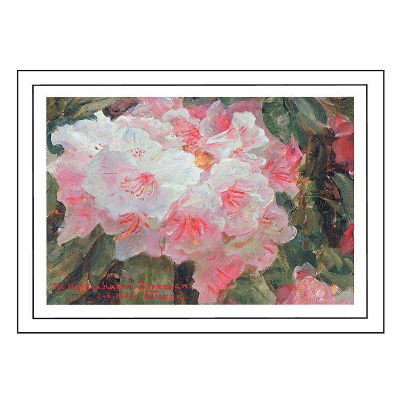Skagen plakat 30x40cm