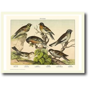Natur plakat 30x40cm i ramme