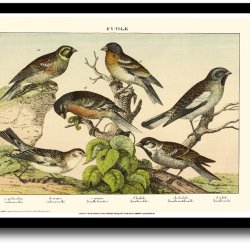 Natur plakat 30x40cm i ramme