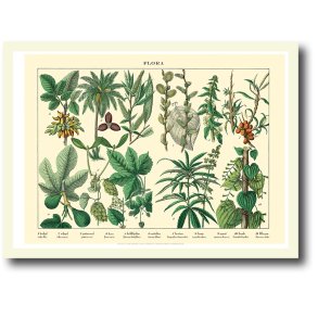 Natur plakat 30x40cm i ramme