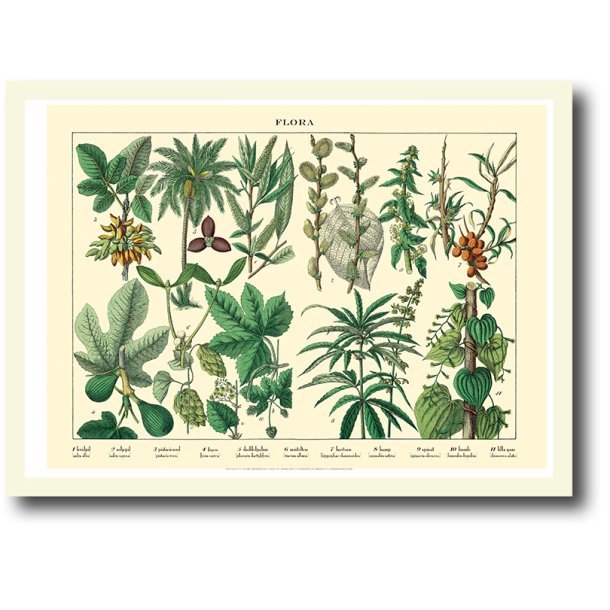 Nature poster 30x40cm in frame