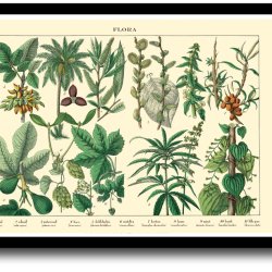 Natur plakat 30x40cm i ramme