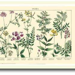 Natur plakat 30x40cm i ramme