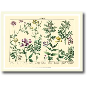 Natur plakat 30x40cm i ramme