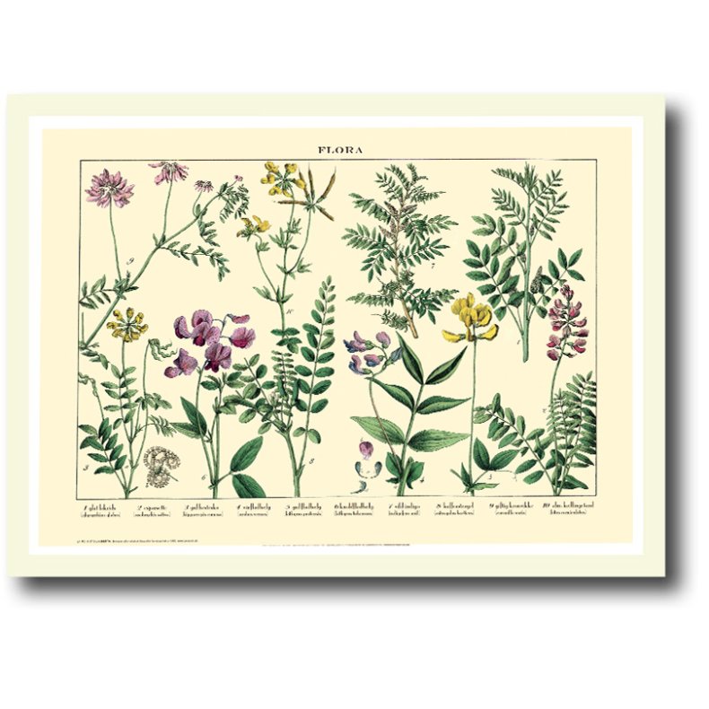 Natur plakat 30x40cm i ramme