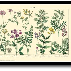 Natur plakat 30x40cm i ramme