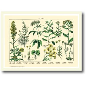 Natur plakat 30x40cm i ramme