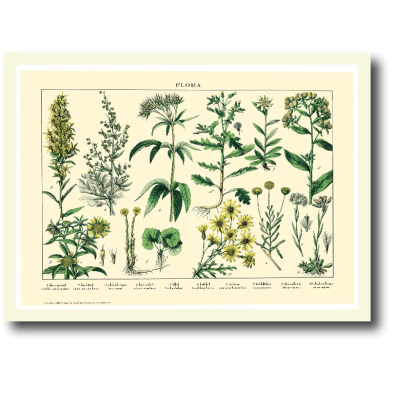 Natur plakat 30x40cm i ramme