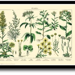 Natur plakat 30x40cm i ramme