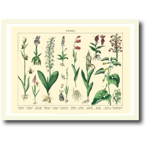 Natur plakat 30x40cm i ramme