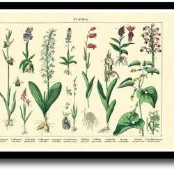 Natur plakat 30x40cm i ramme