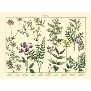 Natur plakat 30x40cm