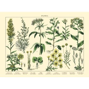 Natur plakat 30x40cm