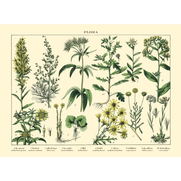 Natur poster 30x40cm