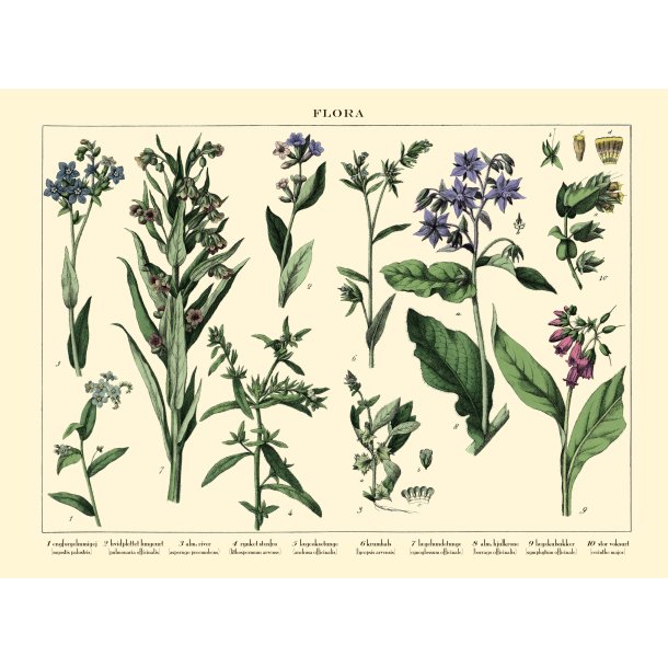 Natur poster 30x40cm