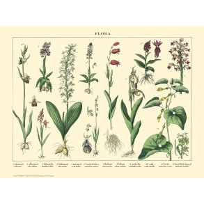 Natur plakat 30x40cm