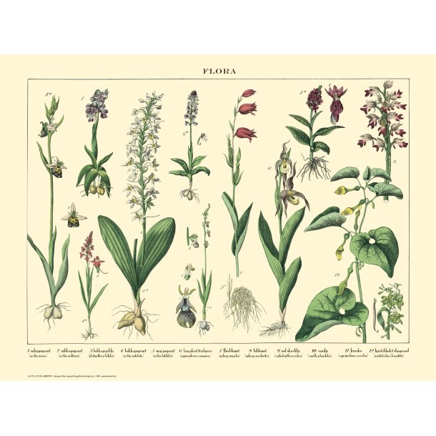 Natur poster 30x40cm