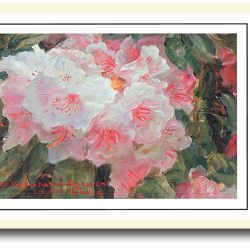 Skagen plakat 30x40cm i ramme