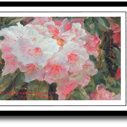 Skagen plakat 30x40cm i ramme