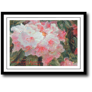 Skagen plakat 30x40cm i ramme