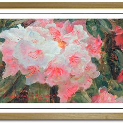 Skagen plakat 30x40cm i ramme