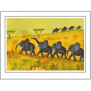 Scherfig plakat 30x40cm