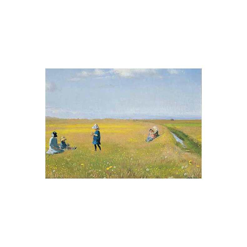 Skagen postkort