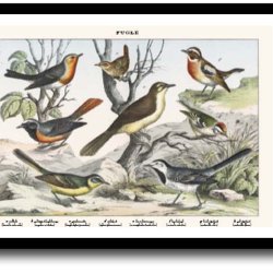 Natur plakat 30x40cm i ramme