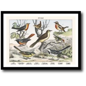 Natur plakat 30x40cm i ramme