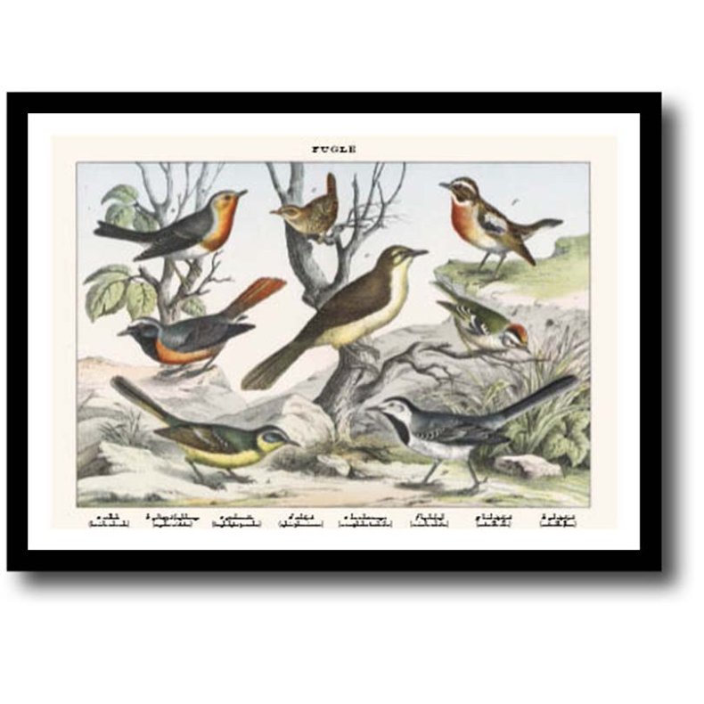 Natur plakat 30x40cm i ramme