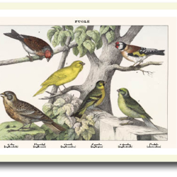 Natur plakat 30x40cm i ramme