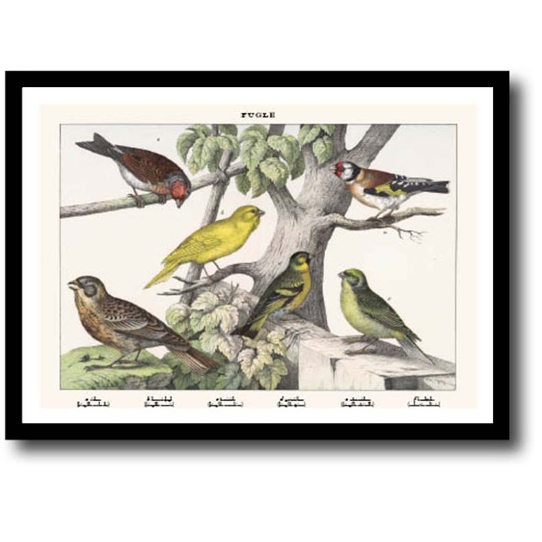 Natur plakat 30x40cm i ramme