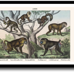 Natur plakat 30x40cm i ramme