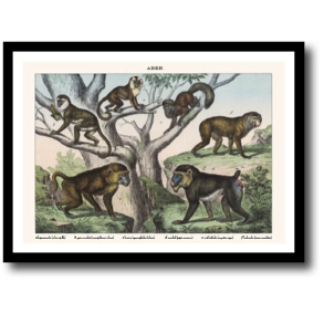 Natur plakat 30x40cm i ramme