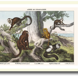 Natur plakat 30x40cm i ramme