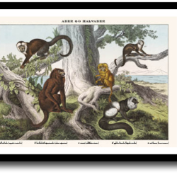 Natur plakat 30x40cm i ramme