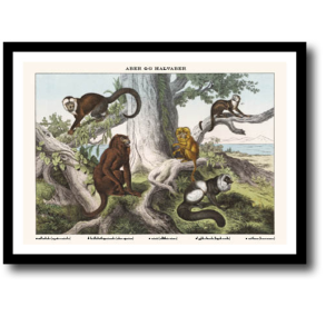 Natur plakat 30x40cm i ramme