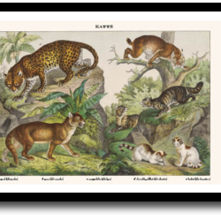 Natur plakat 30x40cm i ramme