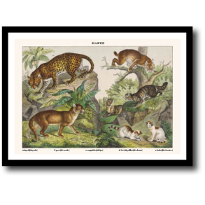Natur plakat 30x40cm i ramme