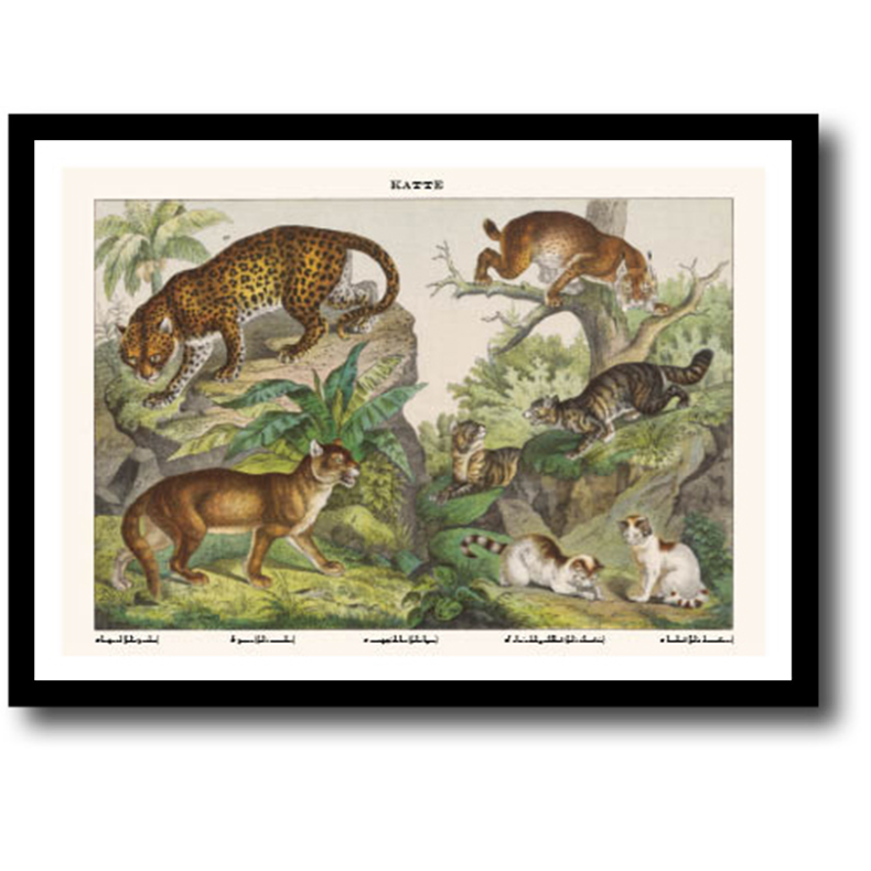Natur plakat 30x40cm i ramme