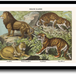 Natur plakat 30x40cm i ramme