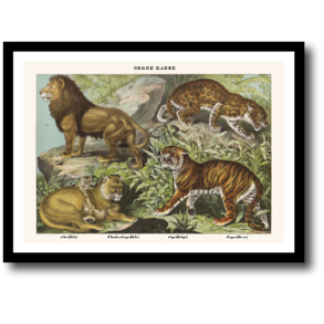 Natur plakat 30x40cm i ramme