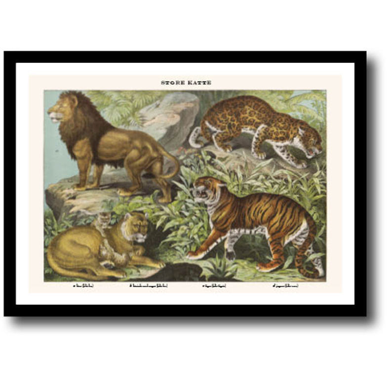 Natur plakat 30x40cm i ramme