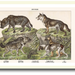 Natur plakat 30x40cm i ramme