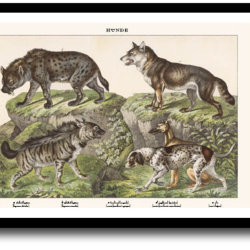 Natur plakat 30x40cm i ramme