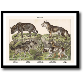 Natur plakat 30x40cm i ramme