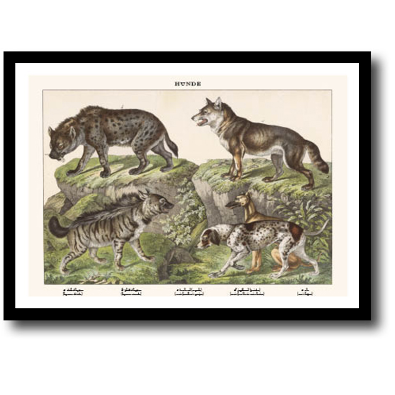 Natur plakat 30x40cm i ramme