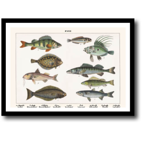 Natur plakat 30x40cm i ramme